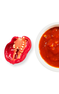 vector